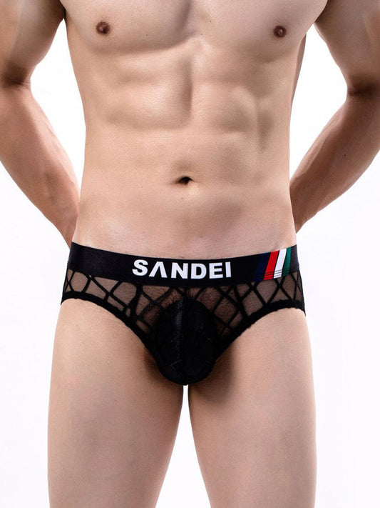 Men's Sexy Sheer Mesh Briefs